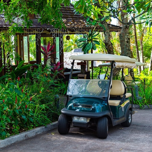 CART-FACILITY-min
